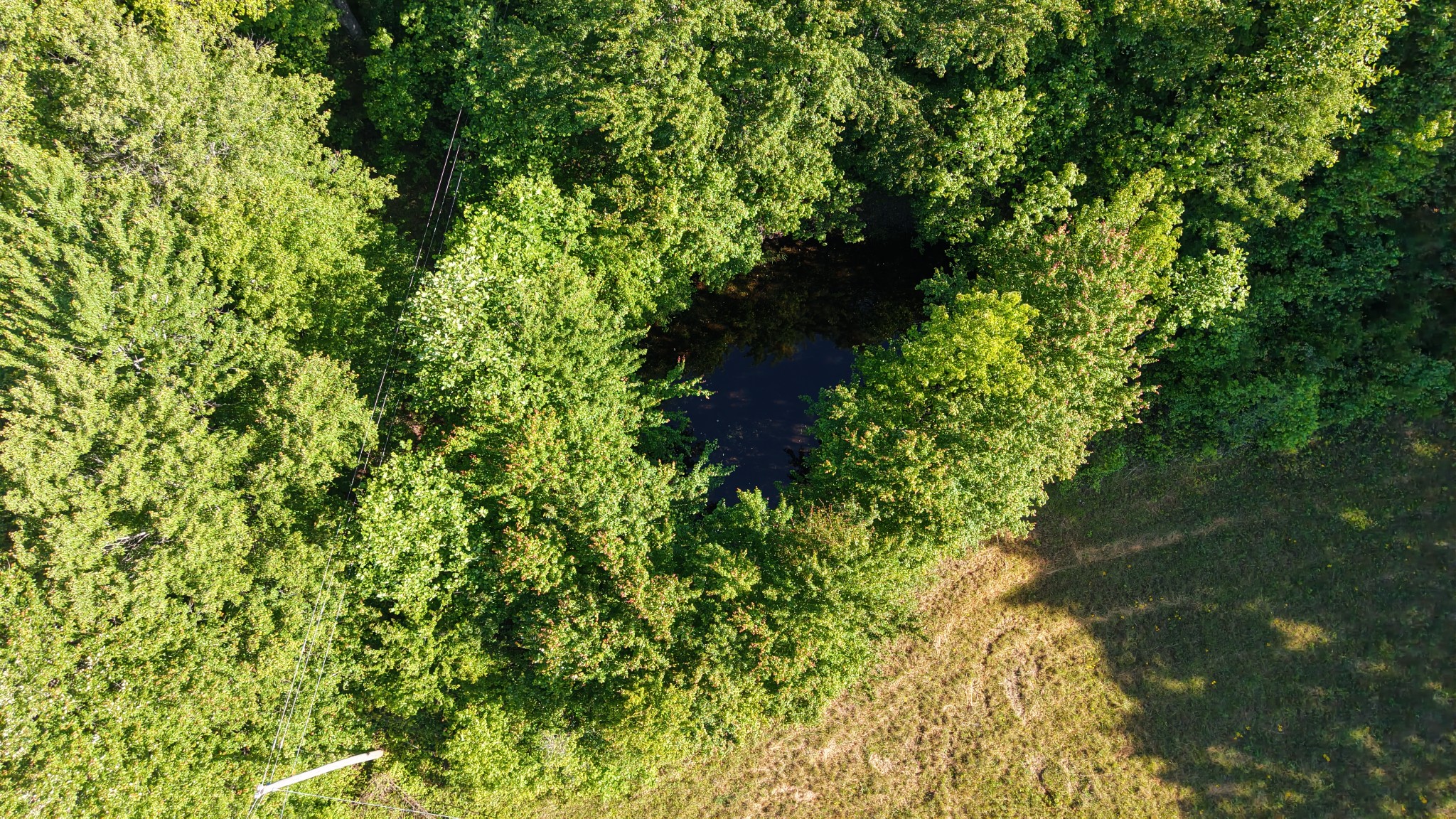 0 Whittaker Road Cookeville, TN 38506 - Photo 20 of 26