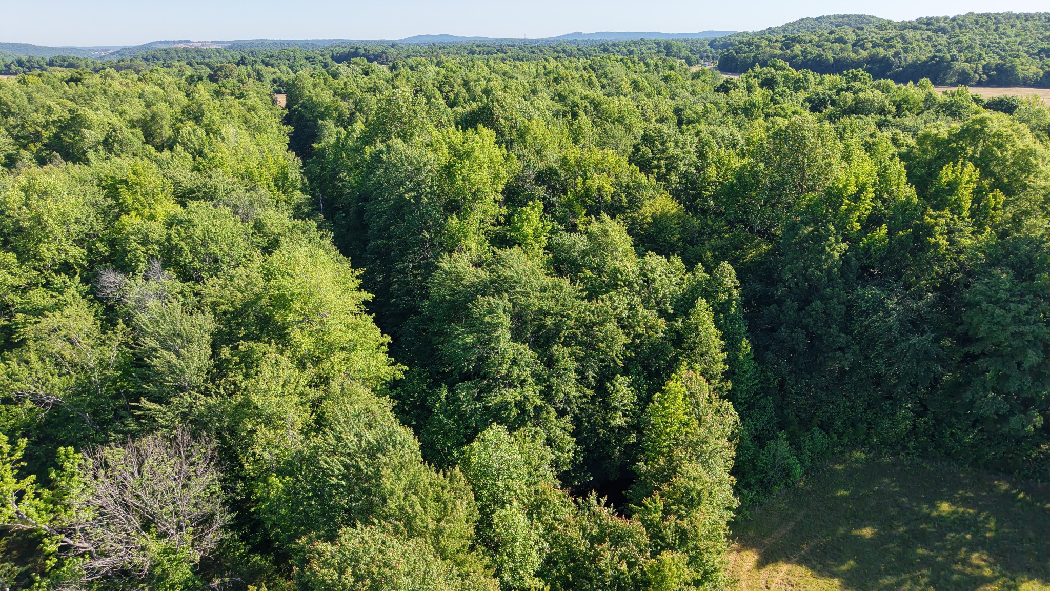 0 Whittaker Road Cookeville, TN 38506 - Photo 21 of 26