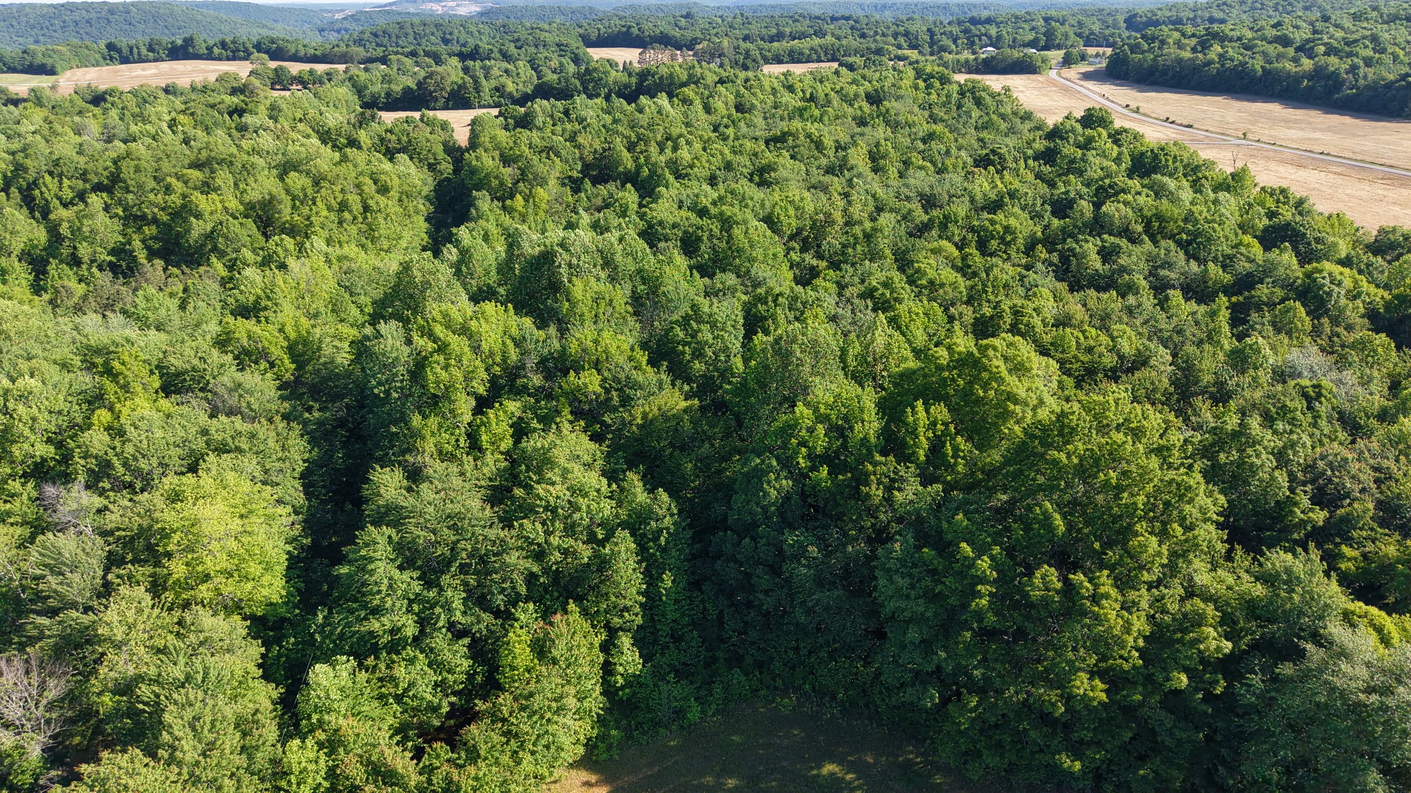 0 Whittaker Road Cookeville, TN 38506 - Photo 24 of 26