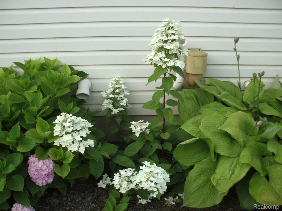 4460 Capac Road Capac, MI 48014 - Photo 19 of 26 Sue Flowers 7.jpg