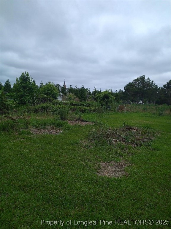 1067 John McMillan Road Hope Mills, NC 28348 - Photo 5 of 35