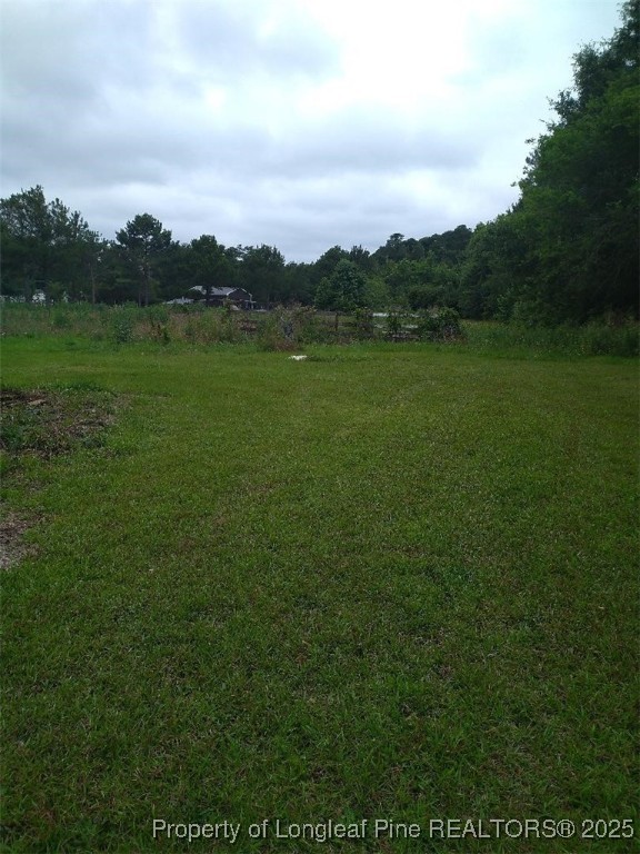 1067 John McMillan Road Hope Mills, NC 28348 - Photo 6 of 35