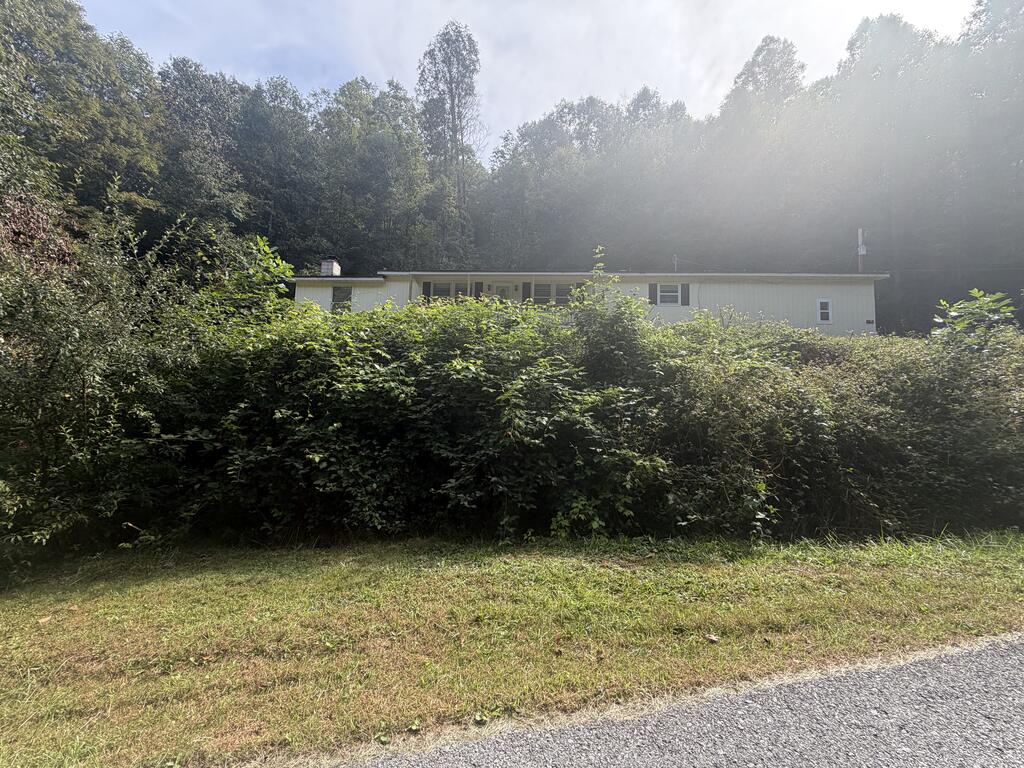 369 Trace Fork Road Chapmanville, WV 25508 - Photo 10 of 41 Gallery Image 10