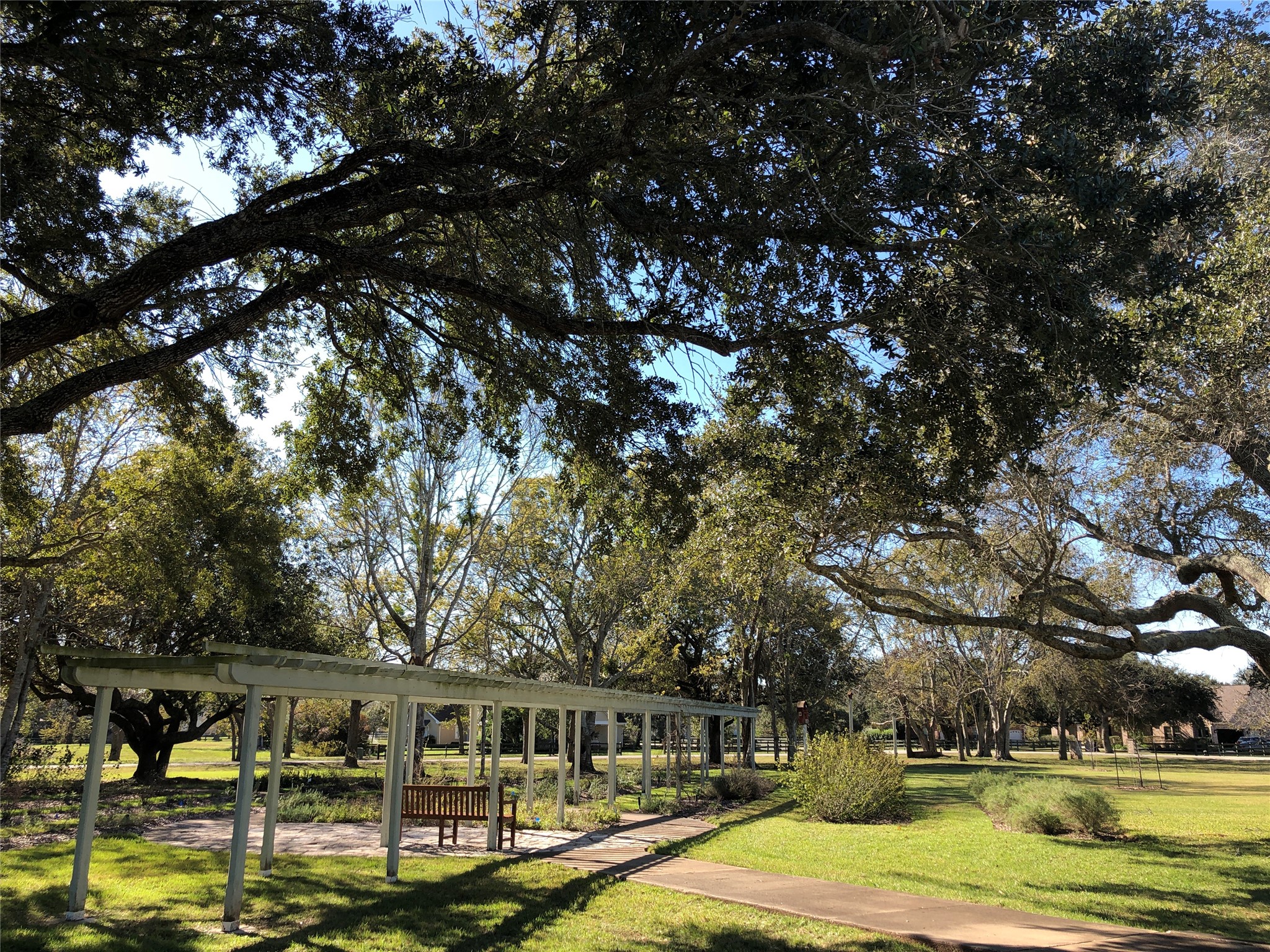 30934 Riverlake Road Fulshear, TX 77441 - Photo 14 of 21 a backyard of a house with lots of green space and lake view
