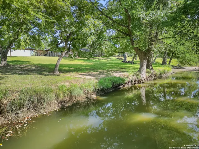 a view of a trees with a yard