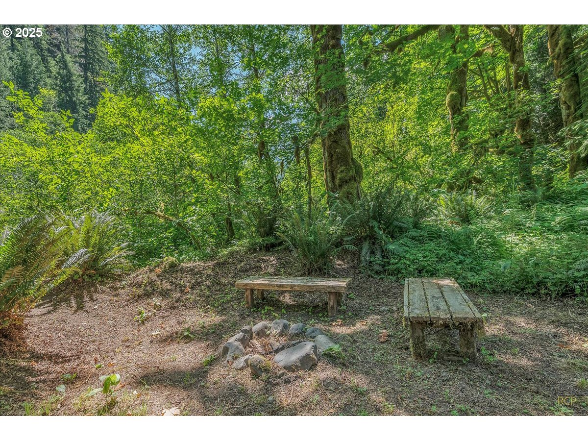30352 Road 12 Rhododendron, OR 97049 - Photo 32 of 46 Gallery Image 32