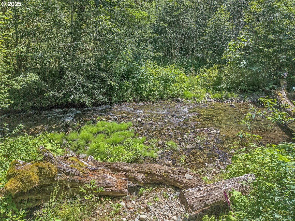 30352 Road 12 Rhododendron, OR 97049 - Photo 38 of 46 Gallery Image 38
