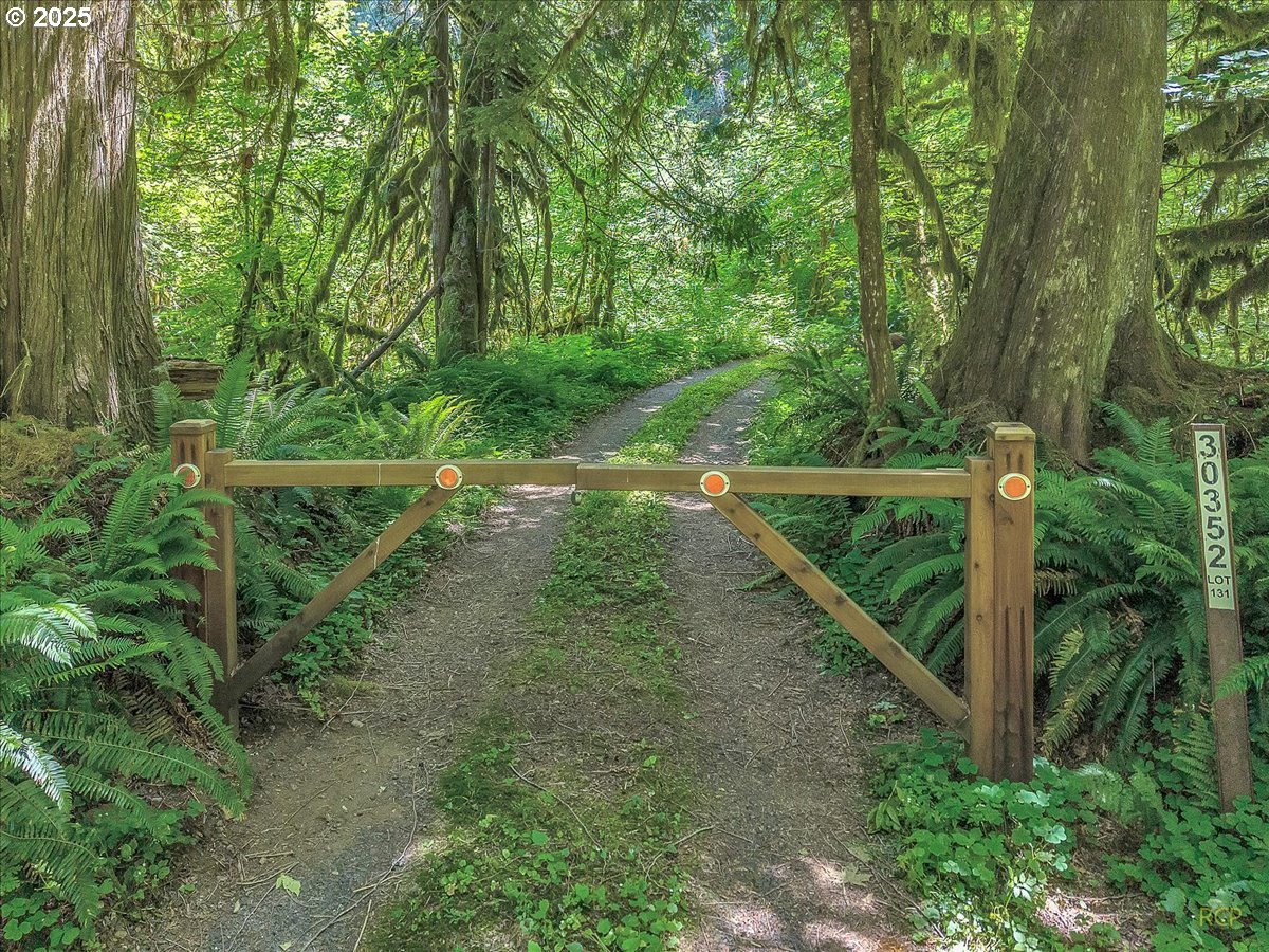 30352 Road 12 Rhododendron, OR 97049 - Photo 41 of 46 Gallery Image 41