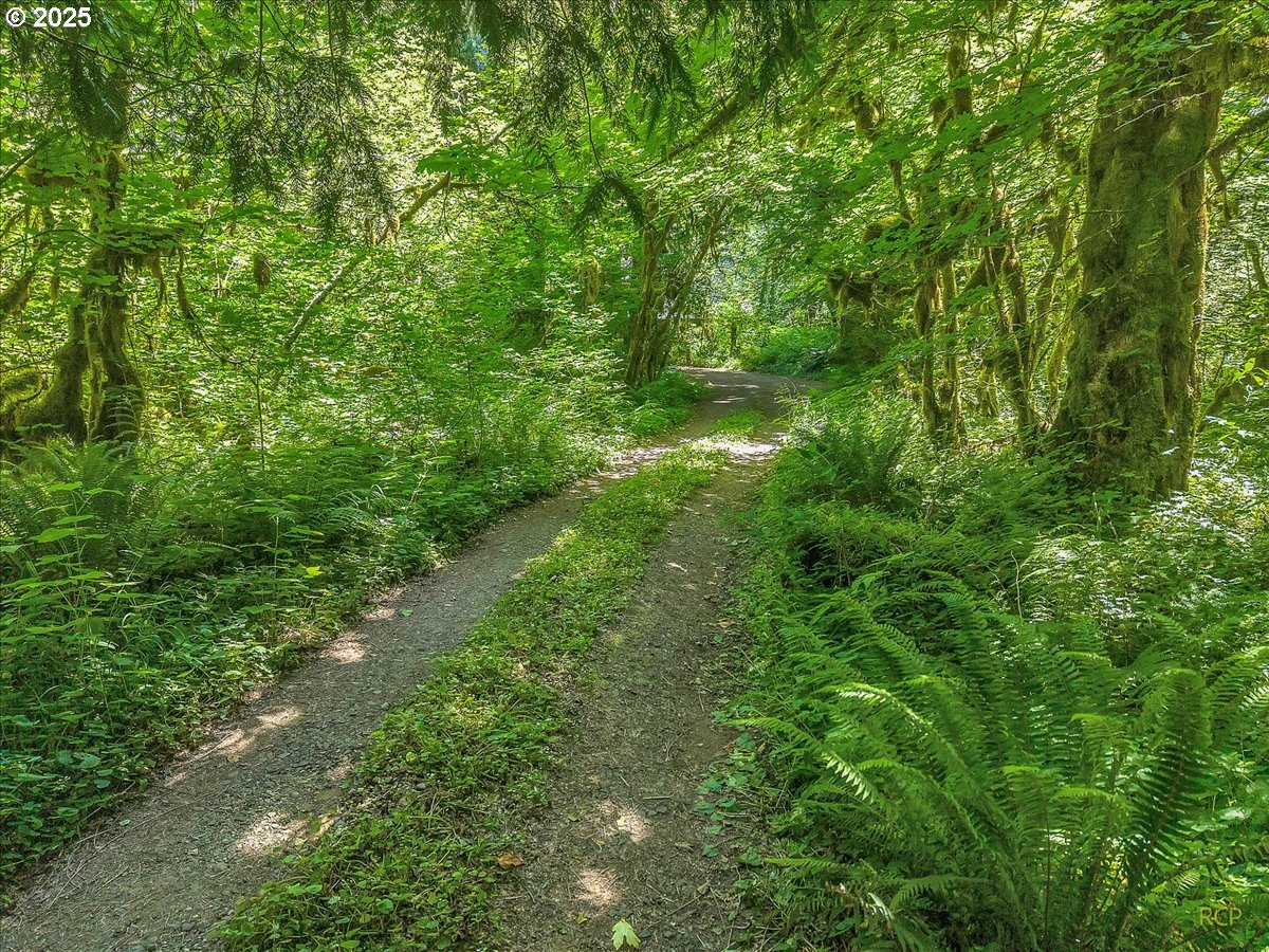30352 Road 12 Rhododendron, OR 97049 - Photo 42 of 46 Gallery Image 42