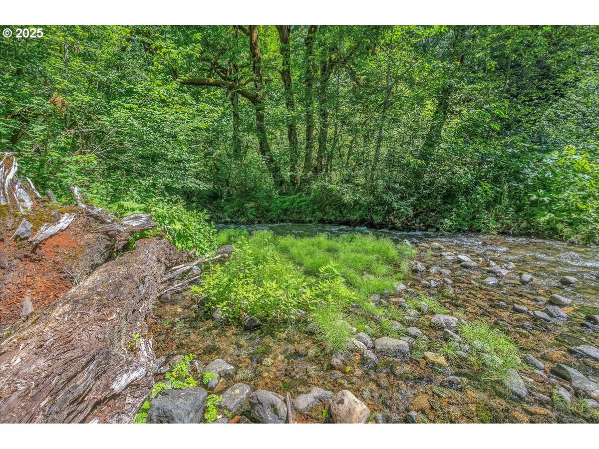 30352 Road 12 Rhododendron, OR 97049 - Photo 43 of 46 Gallery Image 43