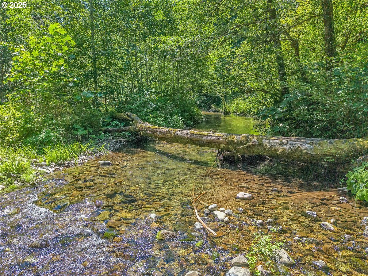 30352 Road 12 Rhododendron, OR 97049 - Photo 5 of 46 Gallery Image 5