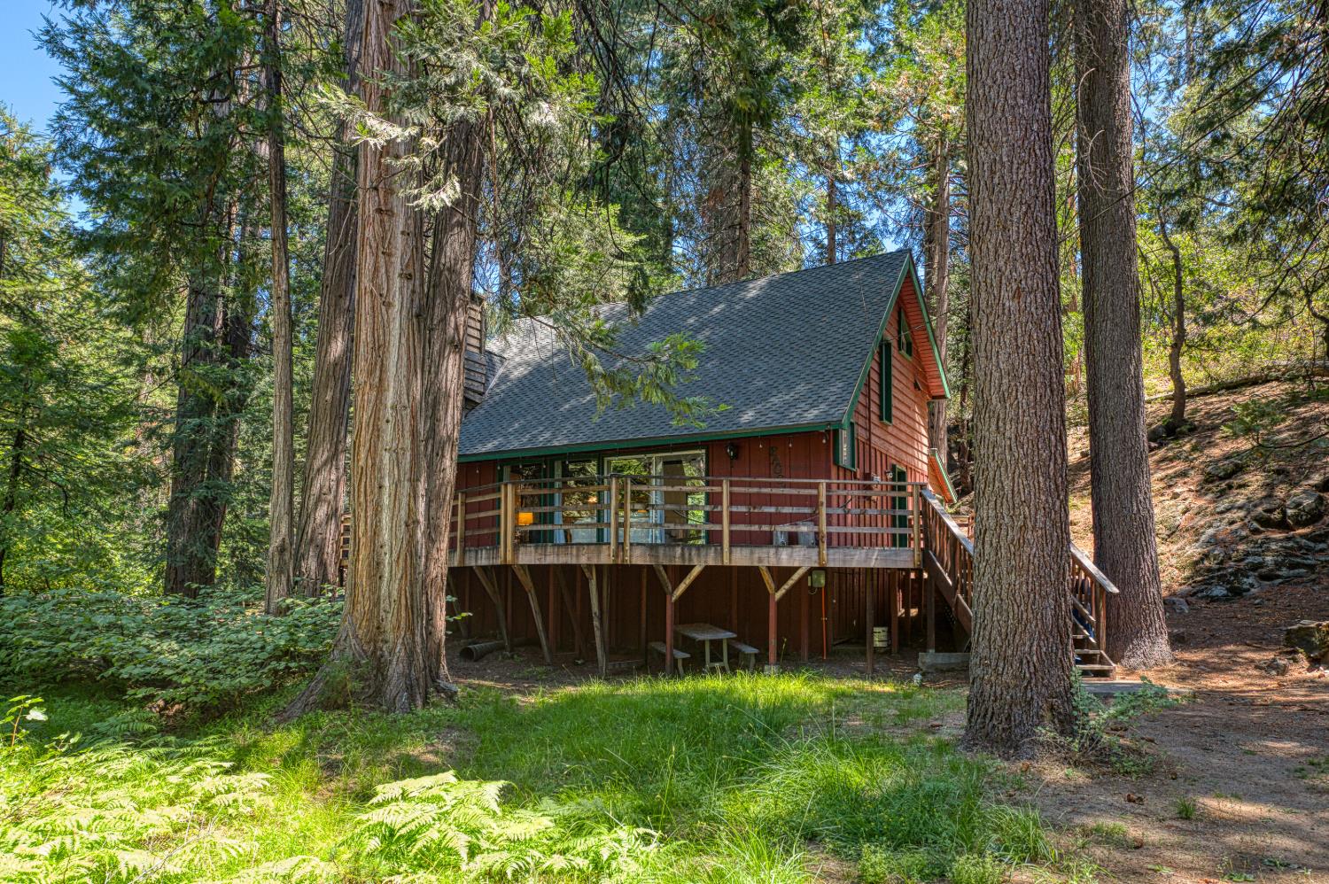 42155 Hanging Branch Road Shaver Lake, CA 93664 - Photo 3 of 49 Gallery Image 3