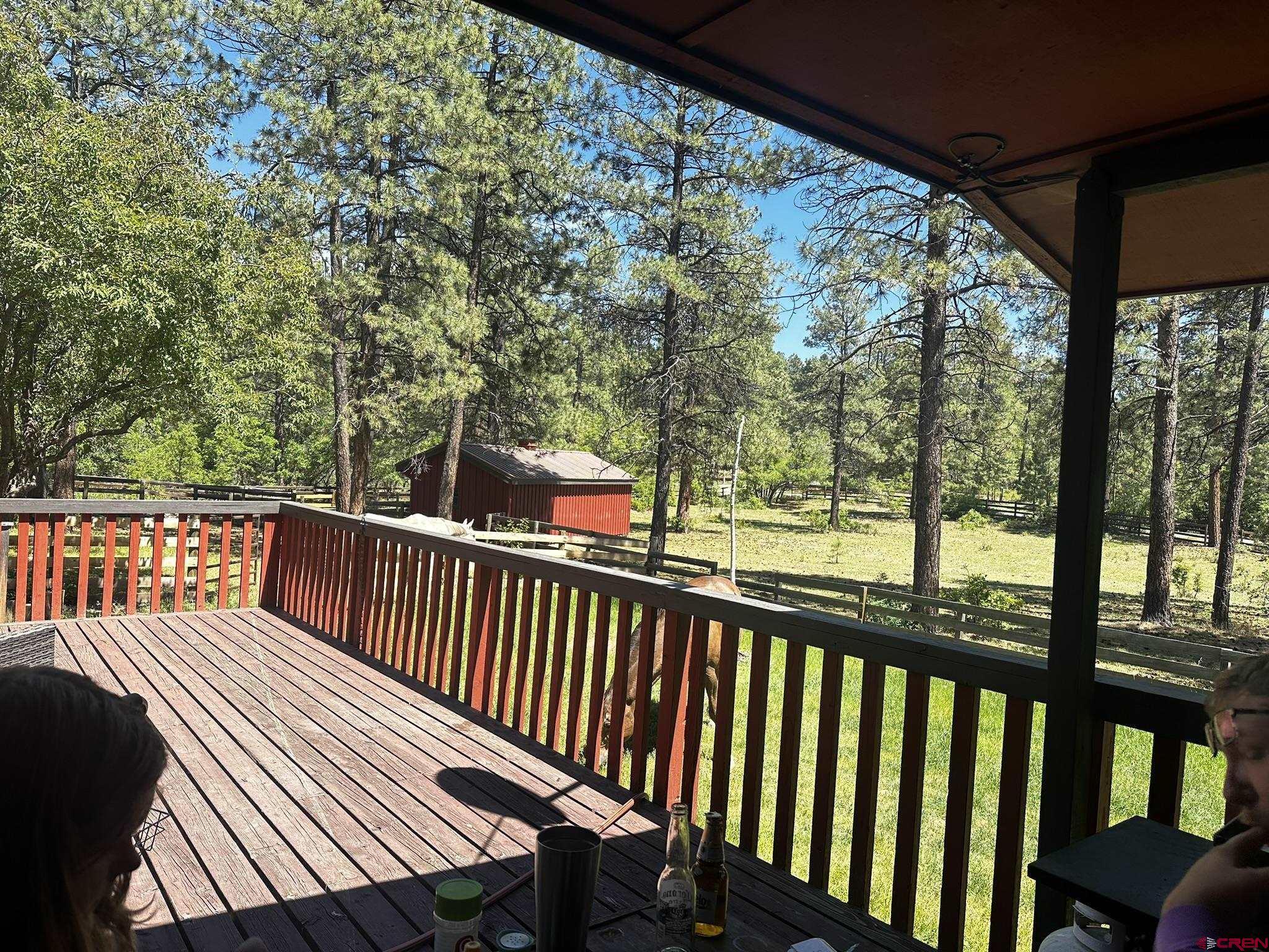 513 West Log Hill Road Pagosa Springs, CO 81147 - Photo 6 of 20