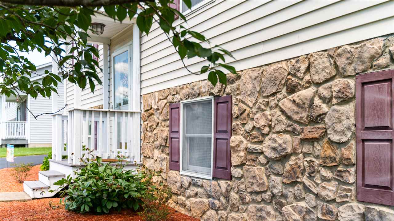 104 Buckboard Road Waynesboro, VA 22980 - Photo 4 of 43 a potted plant in front of a door