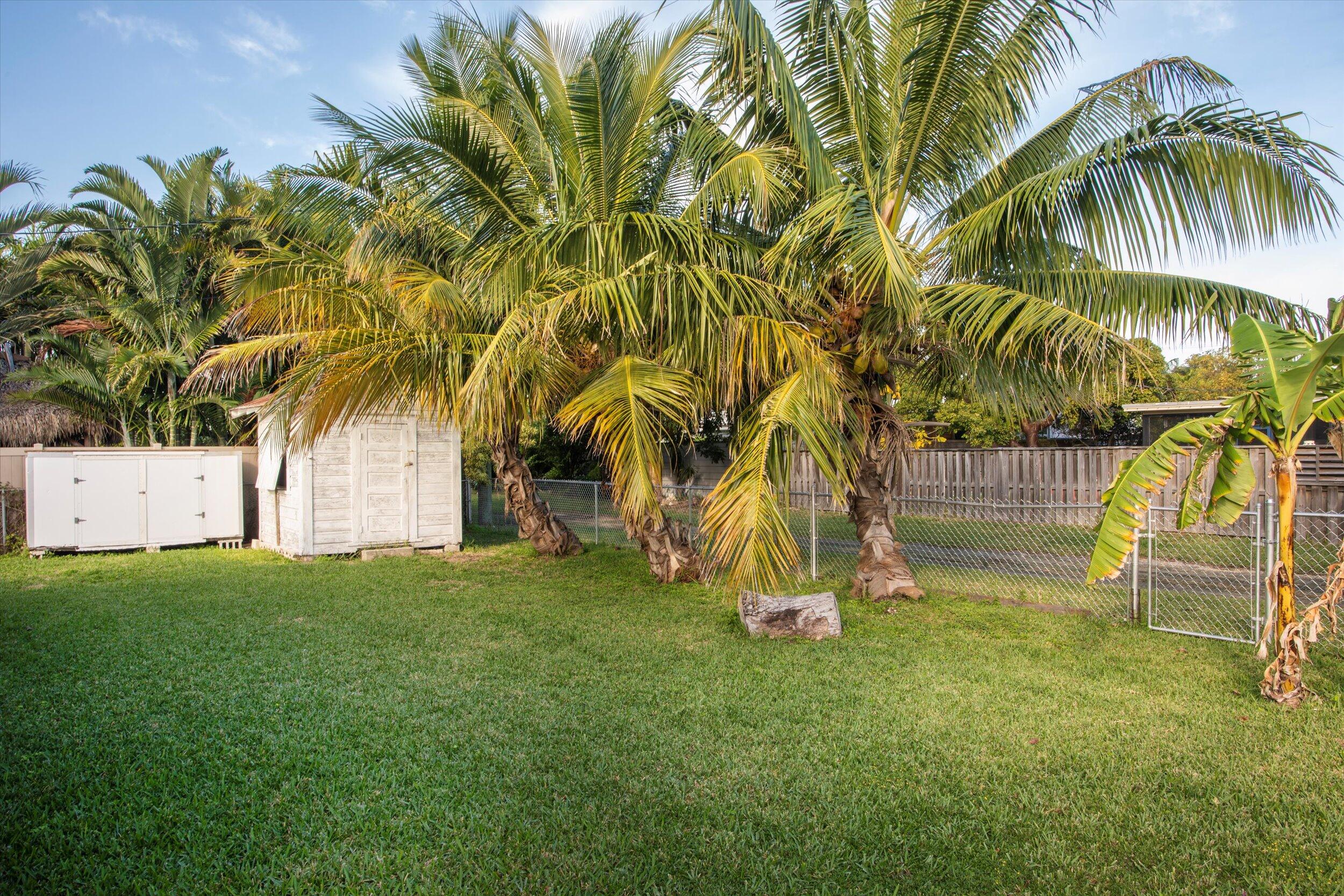1228 11th Street Key West, FL 33040 - Photo 15 of 17 a view of backyard with swimming pool and seating area