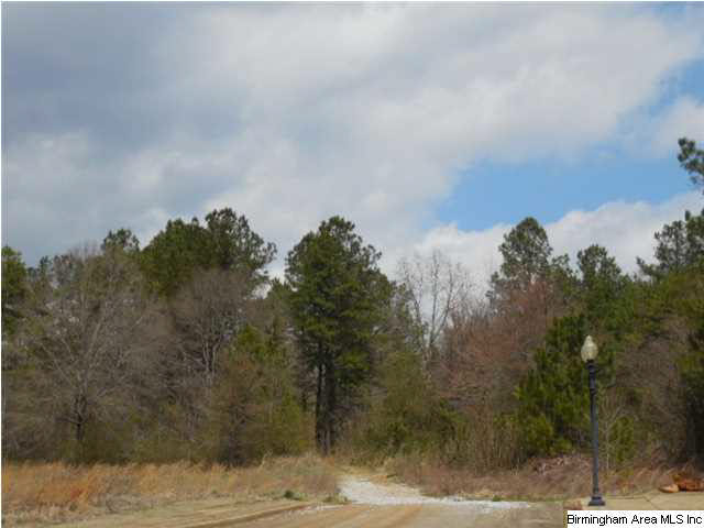 0 Rainbow Ridge Road, Unit 30 ACRES Anniston, AL 36207 - Photo 4 of 12
