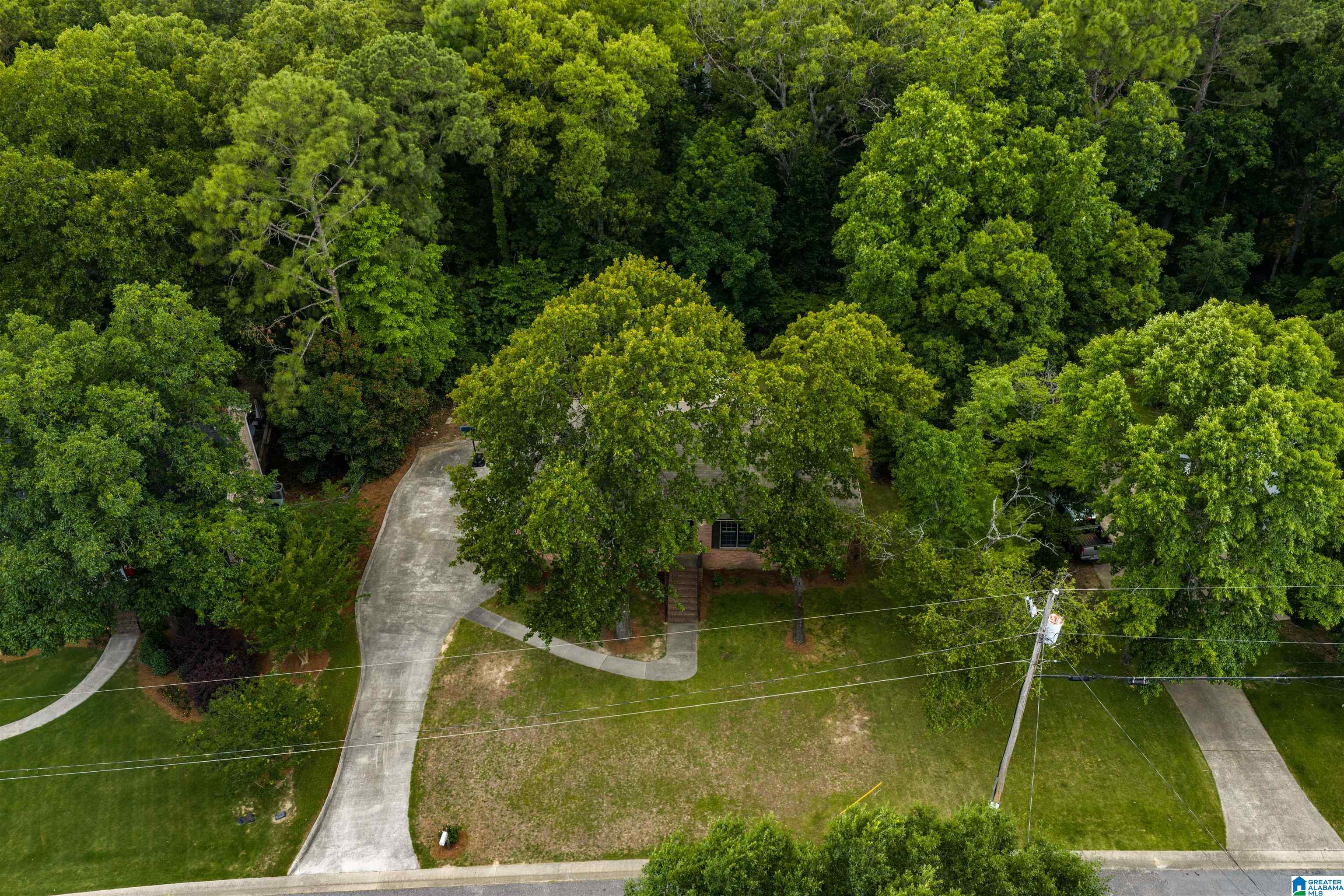 1209 Sequoia Trail Alabaster, AL 35007 - Photo 61 of 62