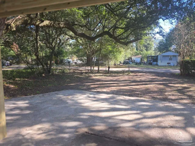 a view of a yard with large trees