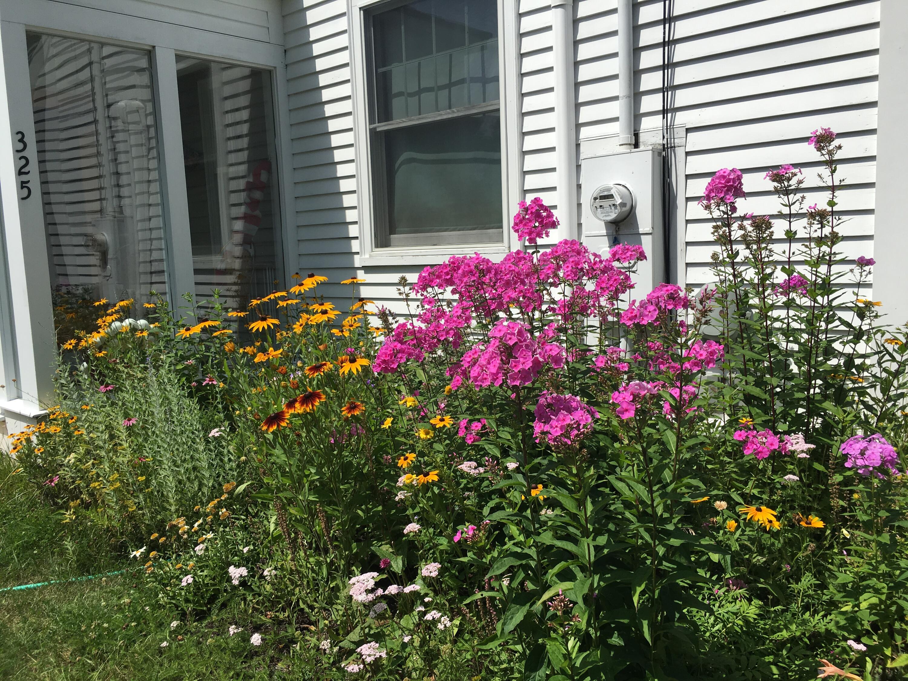 325 Turkey Cove Road St. George, ME 04860 - Photo 25 of 26 IMG_3895