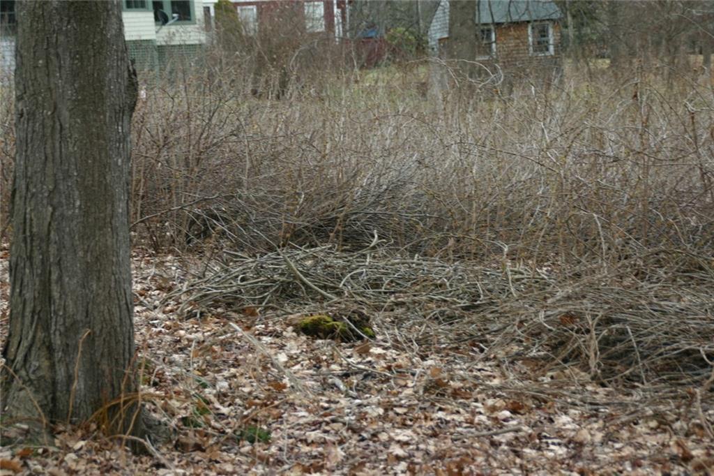 0 Spring Avenue Portland, ME 04109 - Photo 7 of 16 Photo