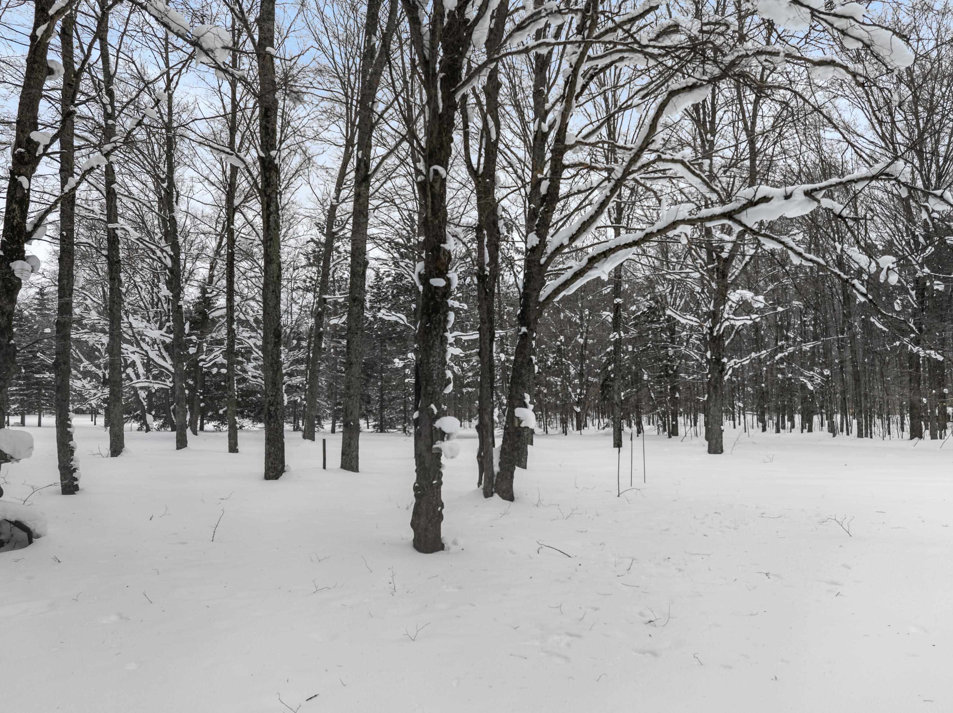 8460 Covert Road Northeast Mancelona, MI 49659 - Photo 36 of 51 1942493-fa6a5a23-c6b9-482d-b1dc-17ac64b48ae9.JPG