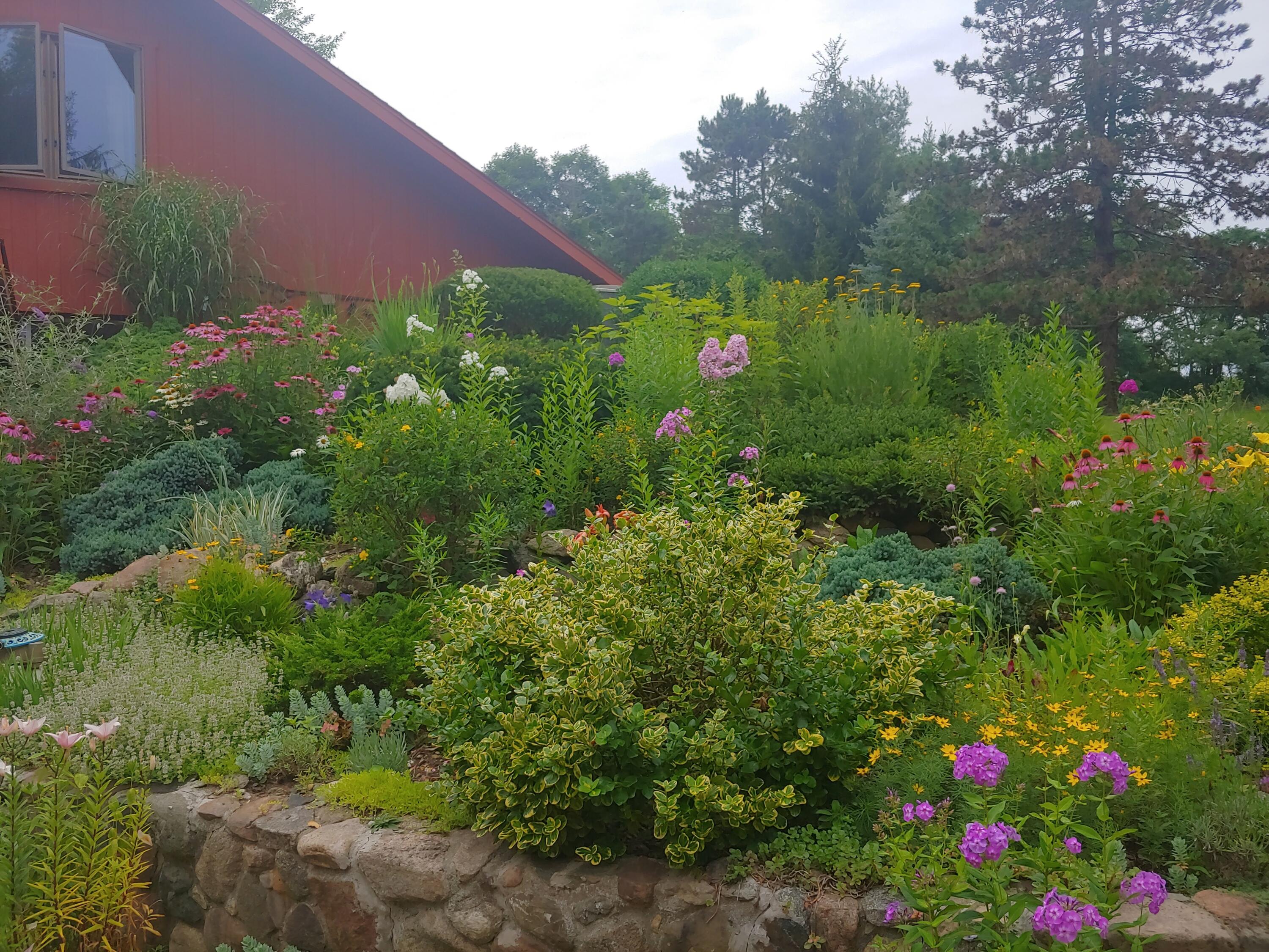 4287 Lyons Road Lyons, MI 48851 - Photo 56 of 59 0716211748_HDR
