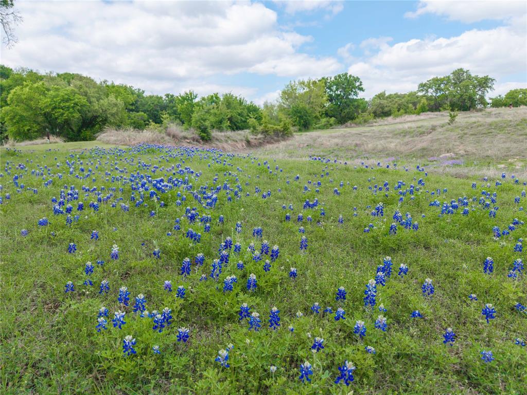 660 County Road 549 Mullin, TX 76864 - Photo 40 of 40 a view of a lush green space