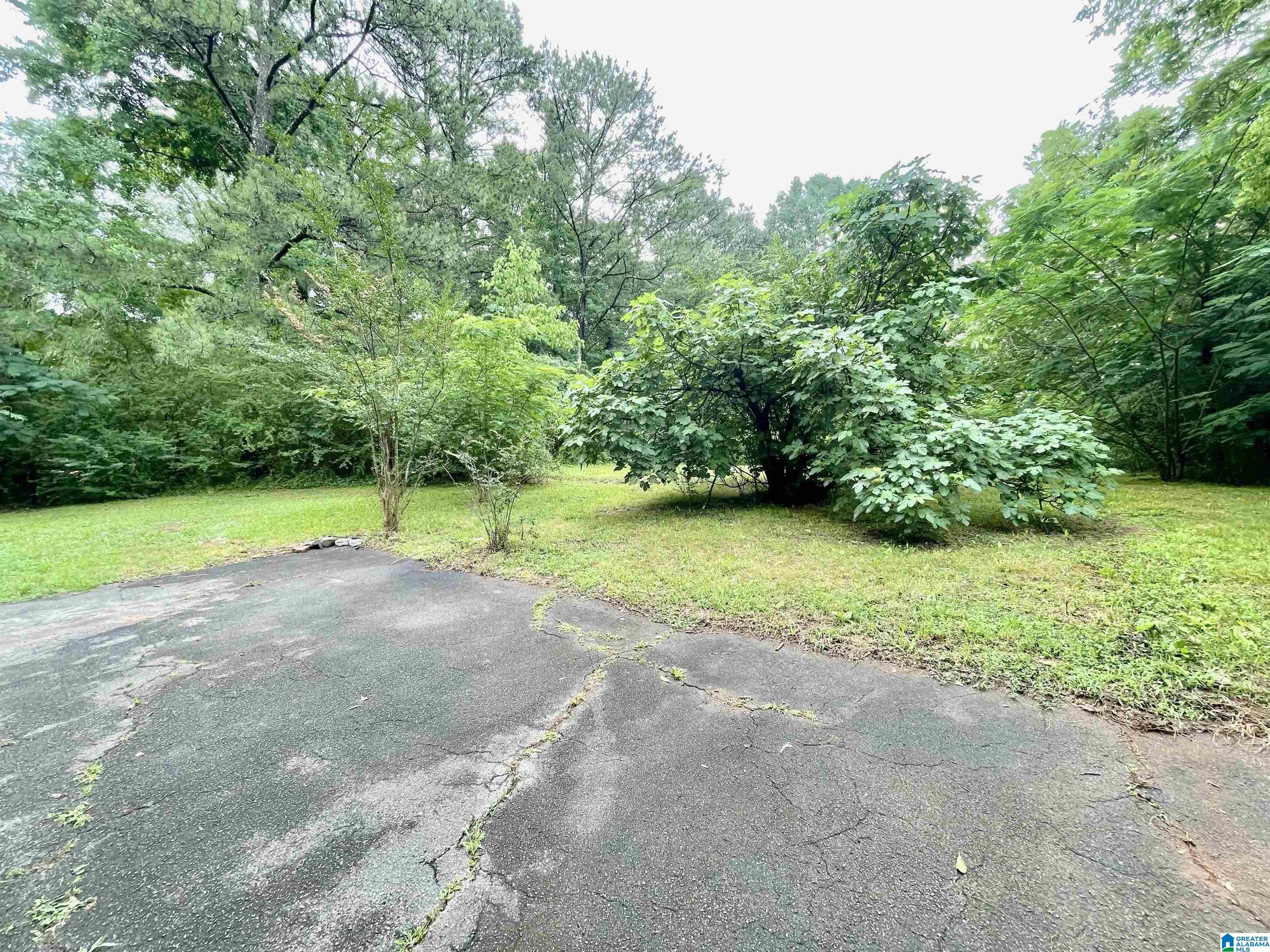 7547 Old Springville Road Trussville, AL 35173 - Photo 40 of 46