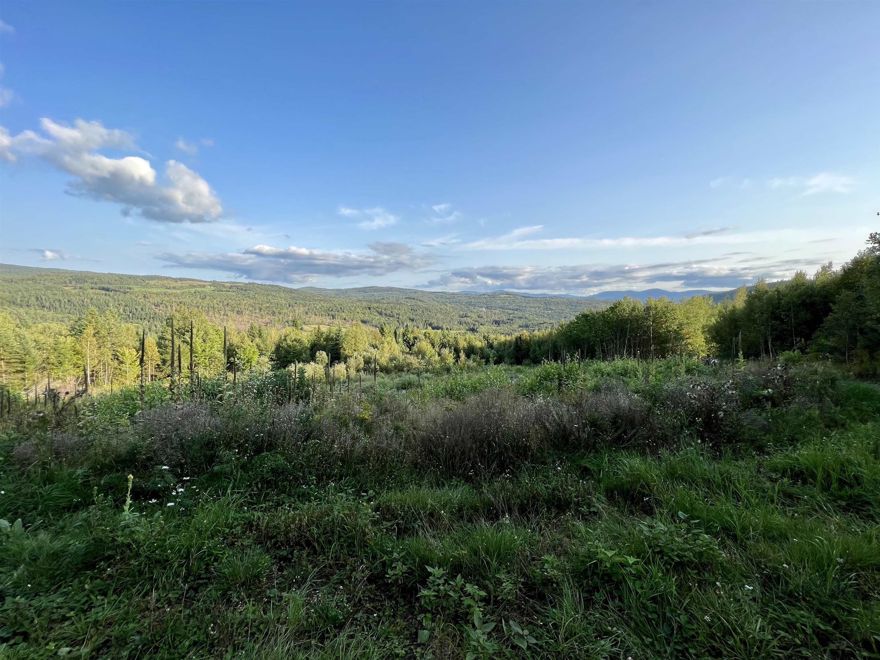 Lot 2 Gulch Brook Road, Unit 2 Stewartstown, NH 03576 - Photo 5 of 23