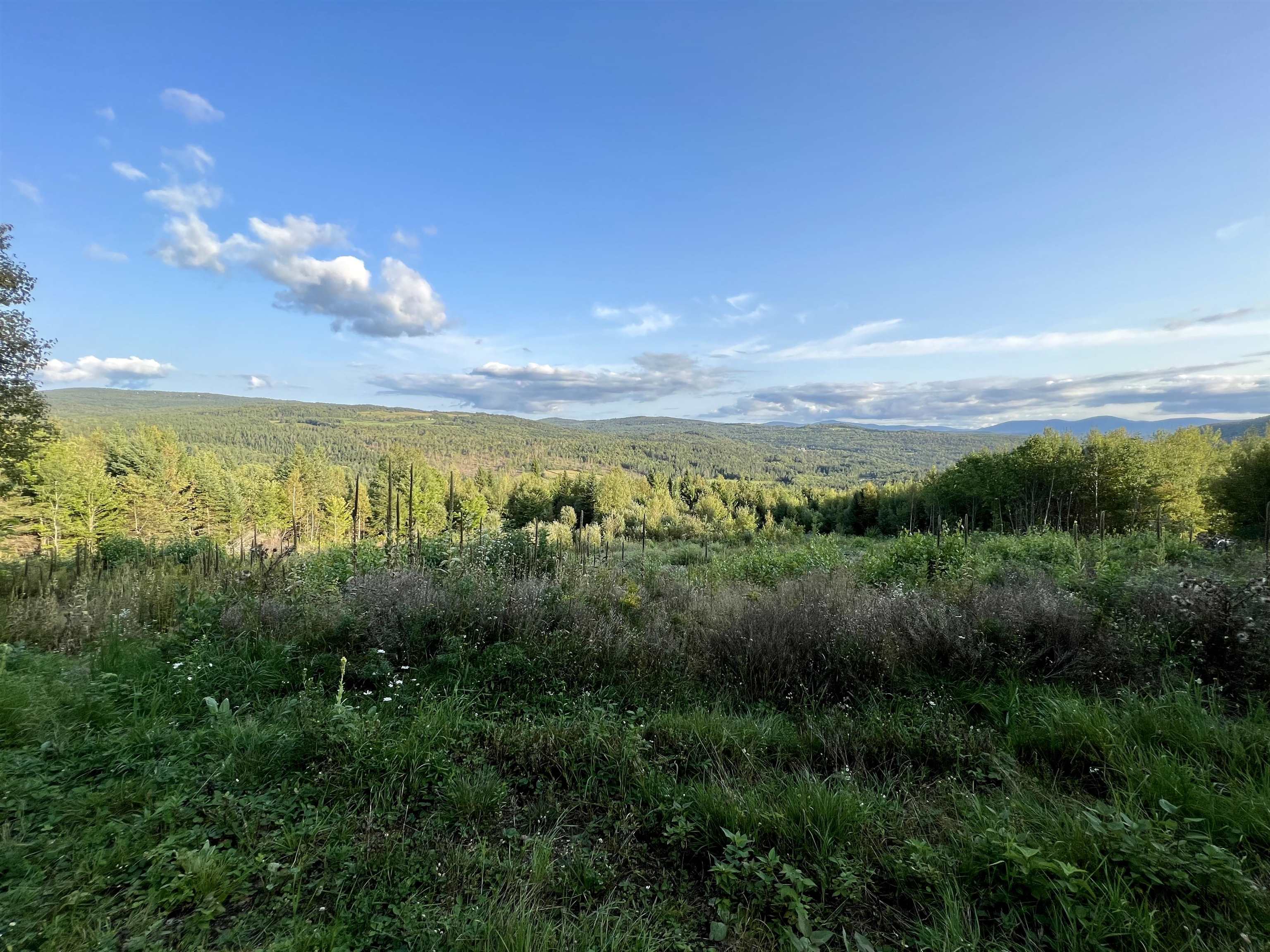 Lot 2 Gulch Brook Road, Unit 2 Stewartstown, NH 03576 - Photo 6 of 23