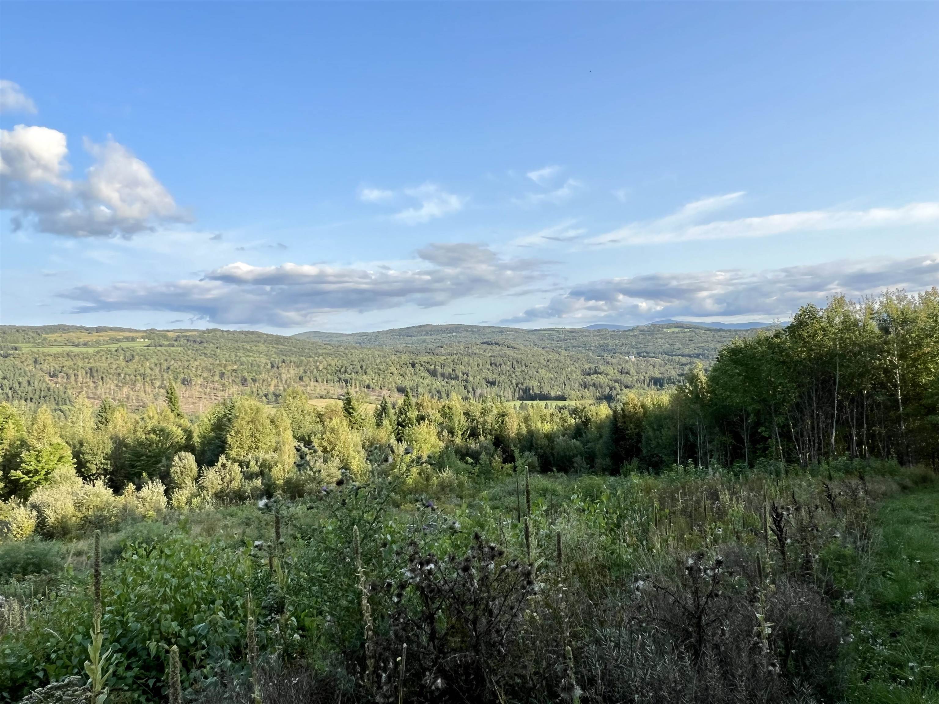 Lot 2 Gulch Brook Road, Unit 2 Stewartstown, NH 03576 - Photo 7 of 23