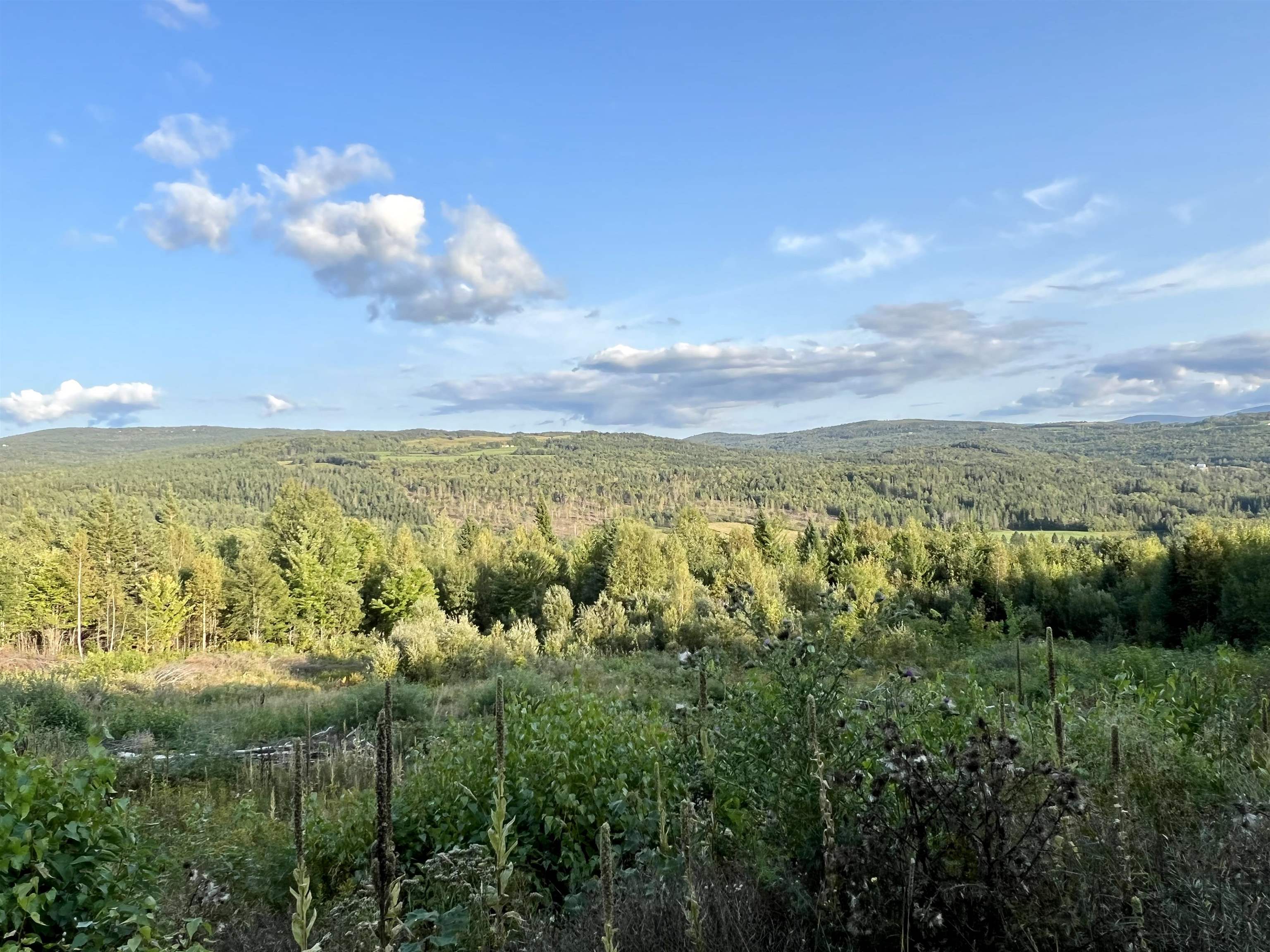 Lot 2 Gulch Brook Road, Unit 2 Stewartstown, NH 03576 - Photo 8 of 23