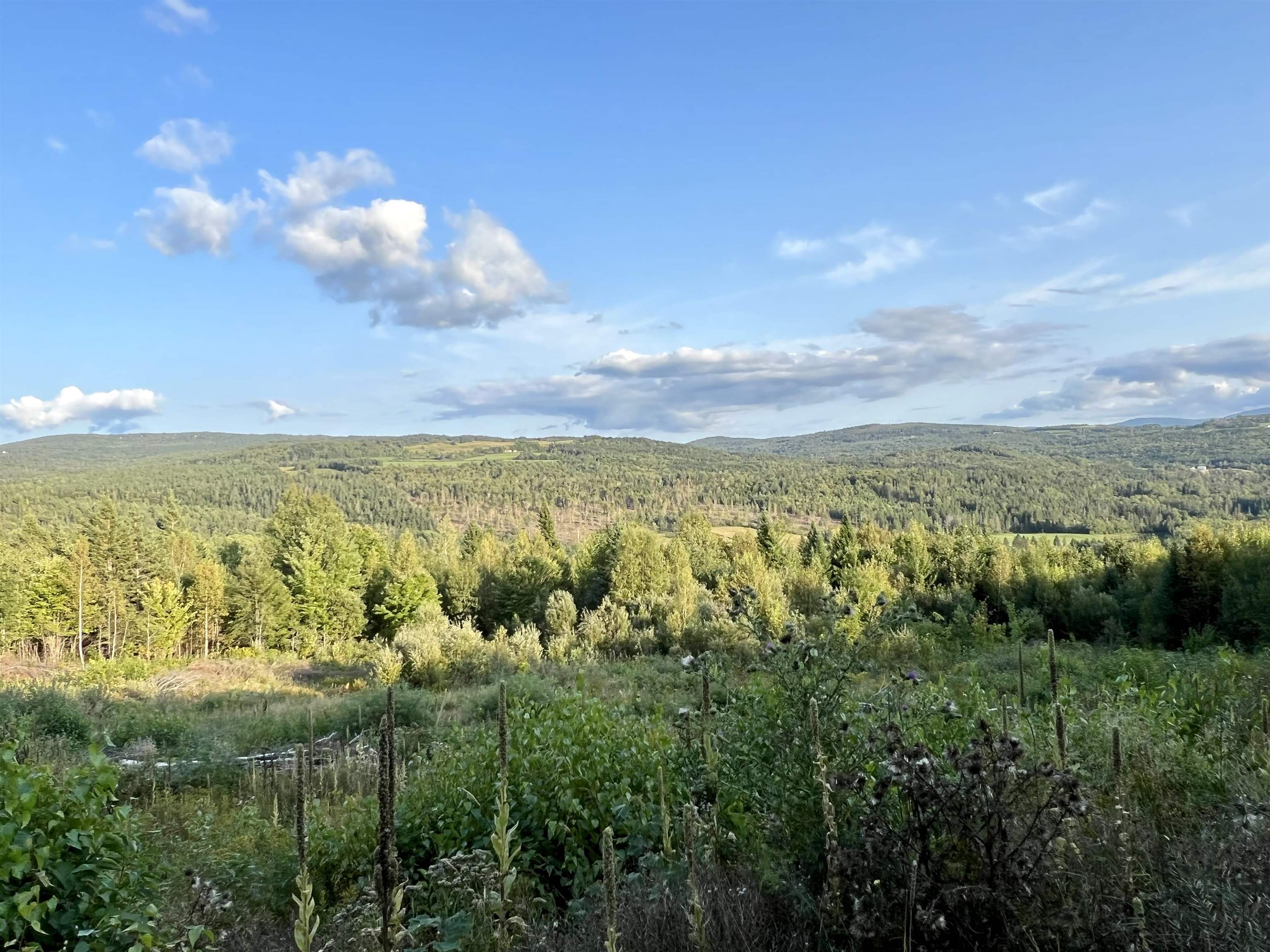Lot 2 Gulch Brook Road, Unit 2 Stewartstown, NH 03576 - Photo 9 of 23