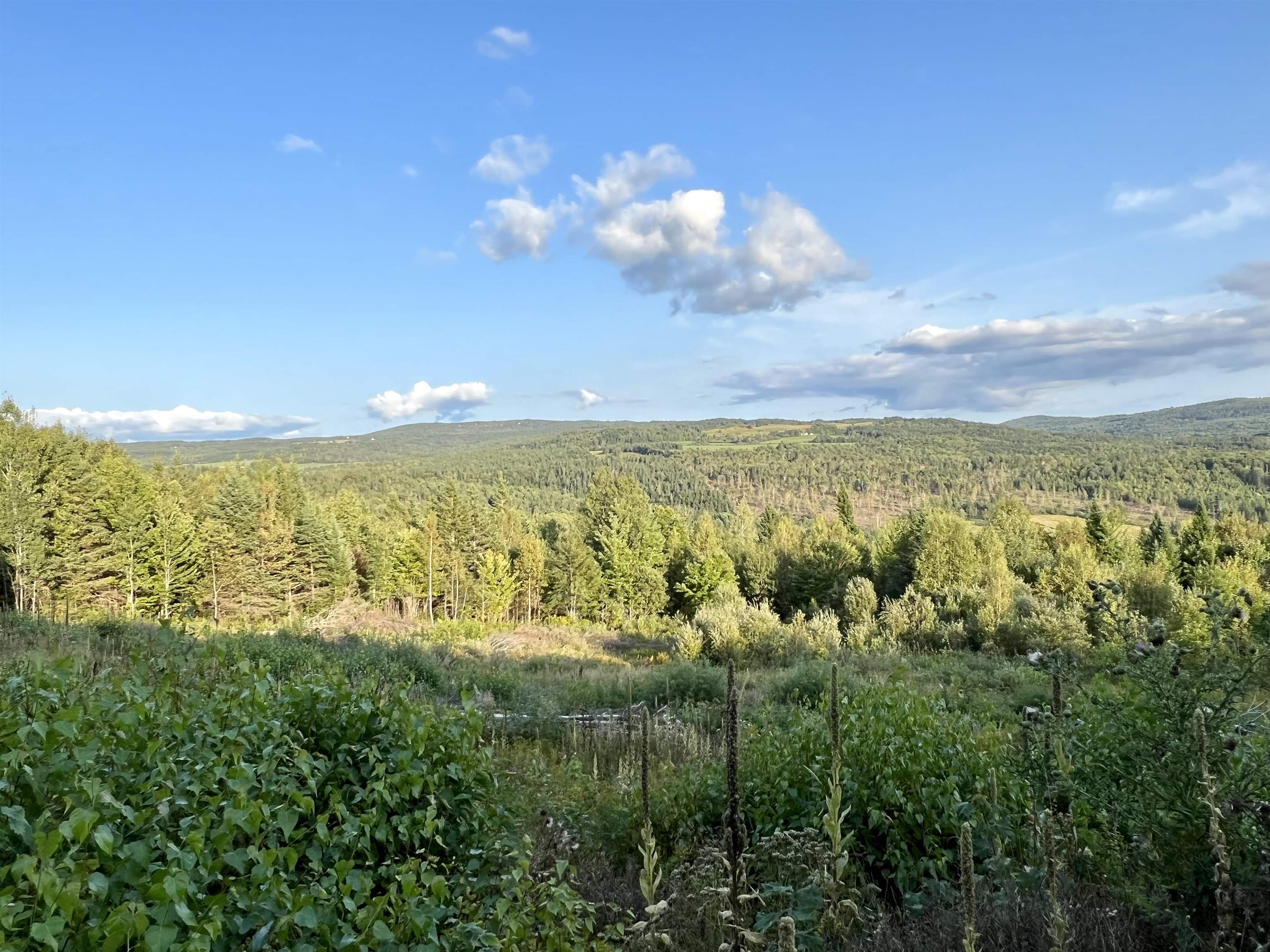 Lot 2 Gulch Brook Road, Unit 2 Stewartstown, NH 03576 - Photo 10 of 23