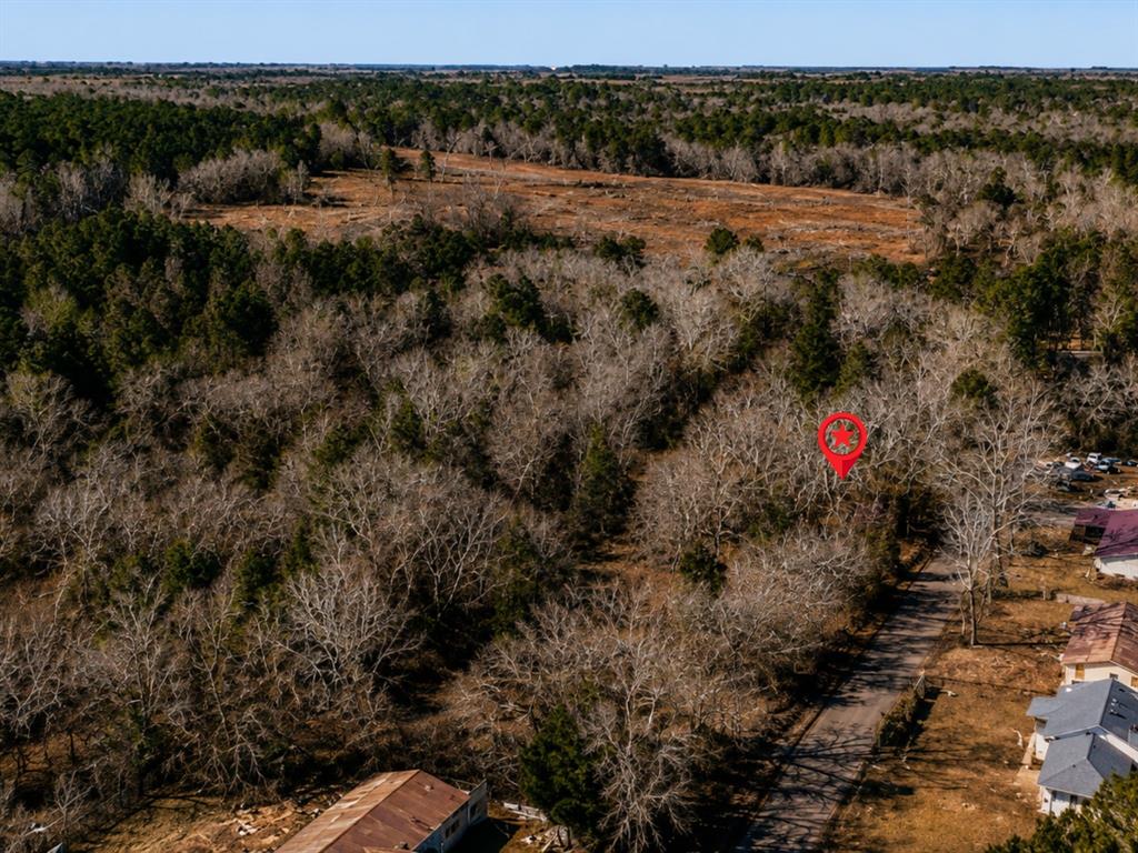 Tbd Apple Tree Road Gilmer, TX 75644 - Photo 9 of 13