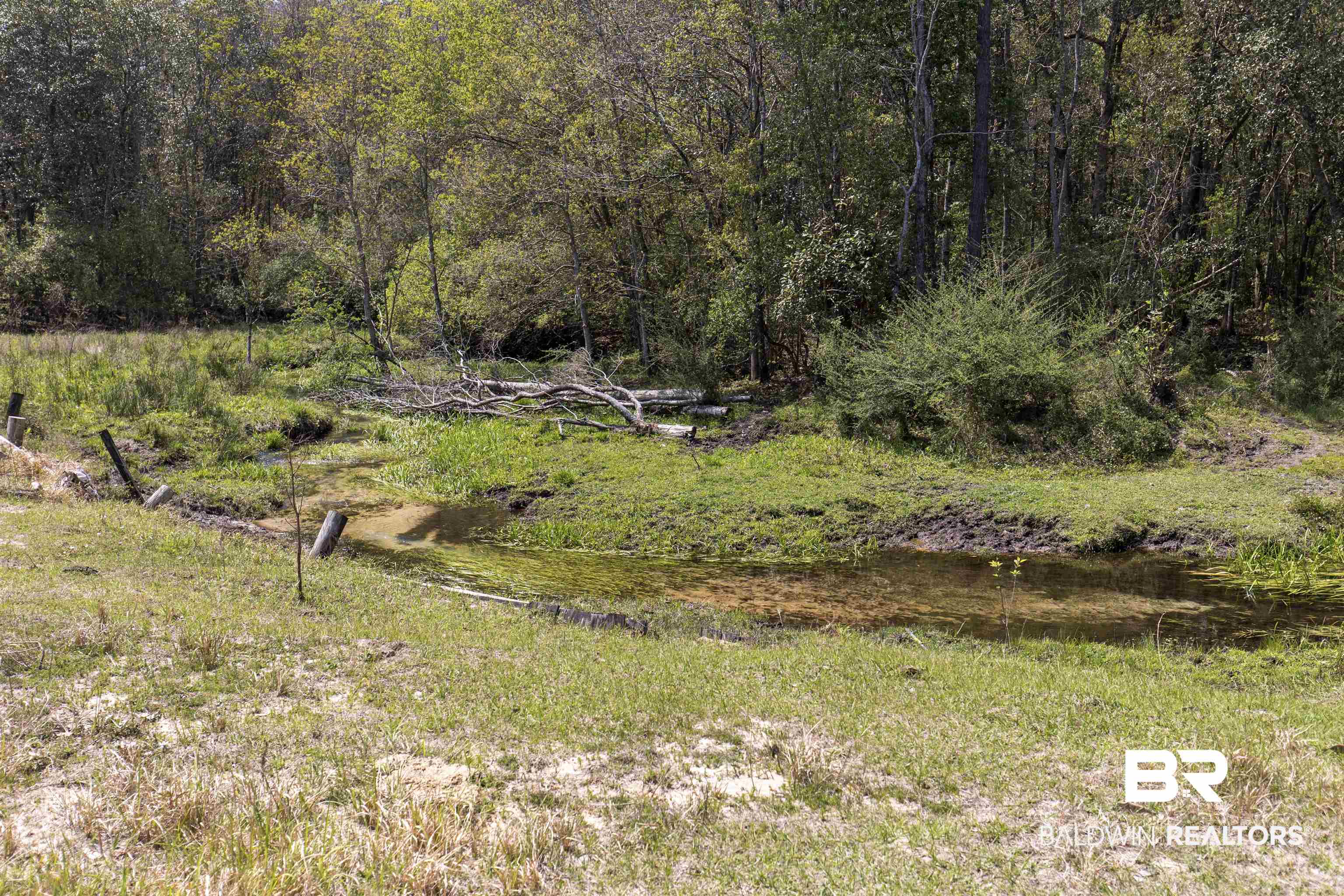 11100 Rhett McConnell Road Theodore, AL 36582 - Photo 25 of 47 View of nature