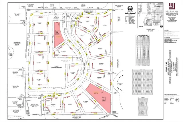 a close up of a flower in a garden