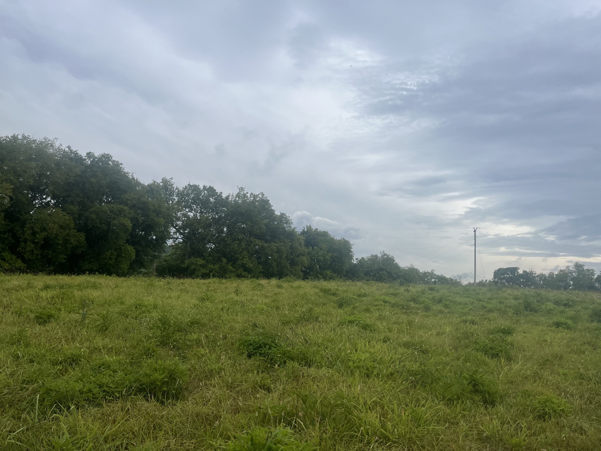 689 Bugscuffle Road Wartrace, TN 37183 - Photo 2 of 7 Gallery Image 2