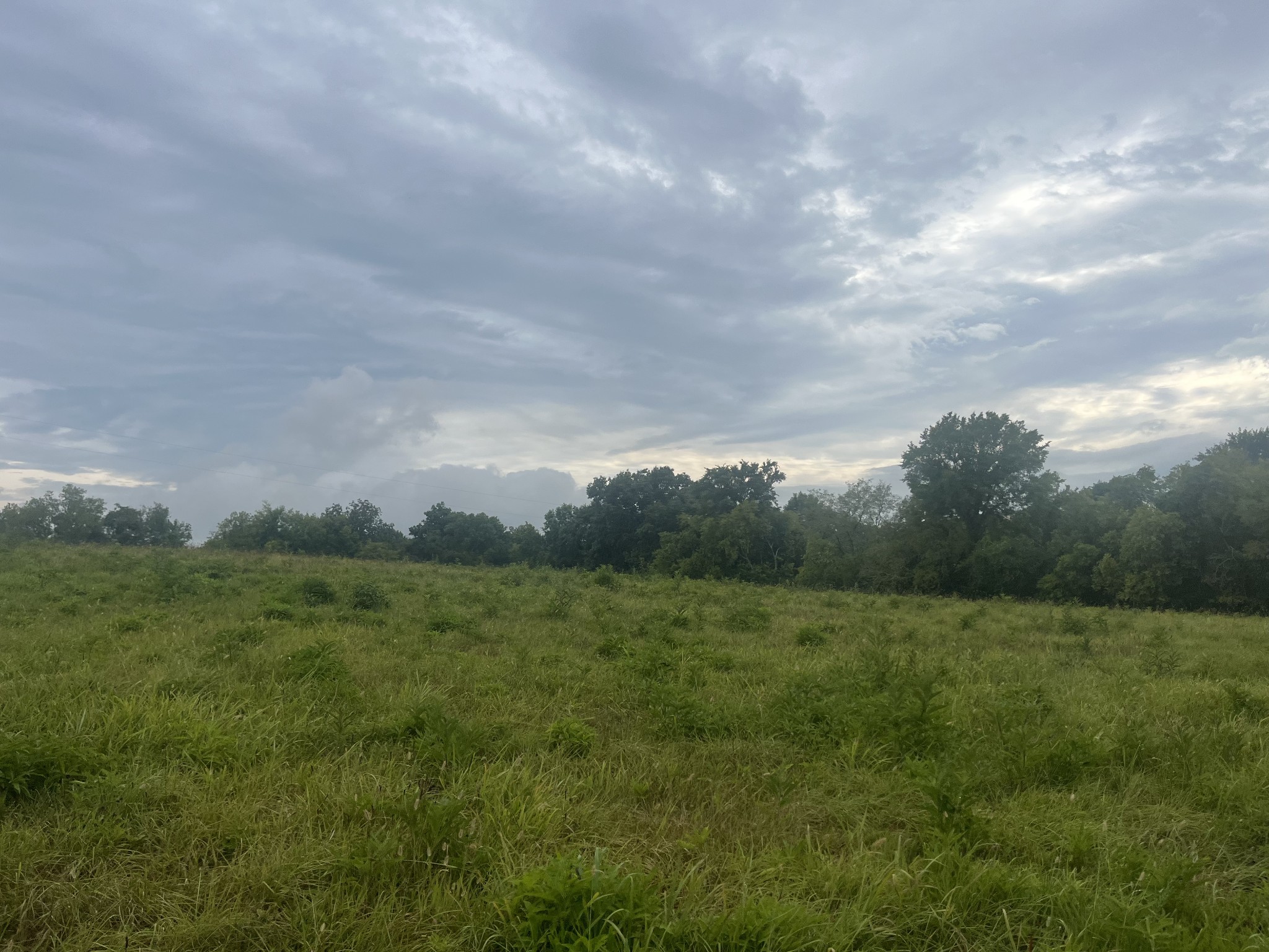 689 Bugscuffle Road Wartrace, TN 37183 - Photo 3 of 7 Gallery Image 3