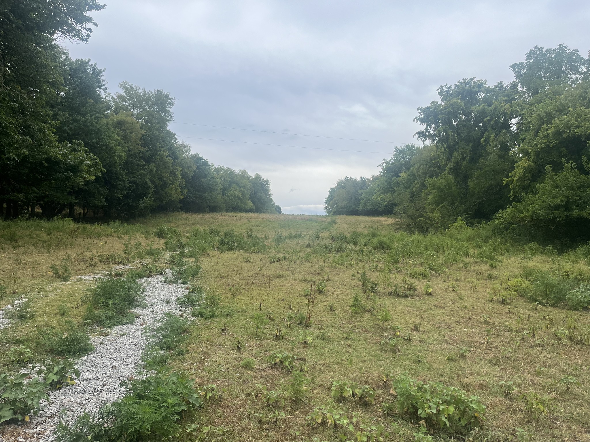 689 Bugscuffle Road Wartrace, TN 37183 - Photo 6 of 7 Gallery Image 6