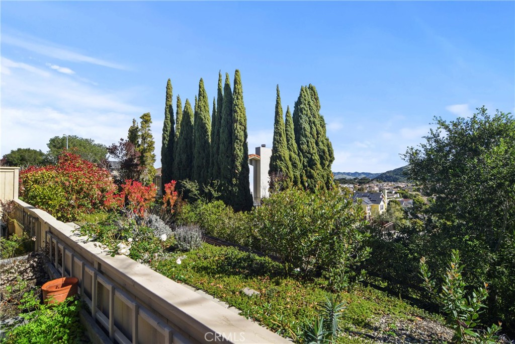 279 Tempus Circle Arroyo Grande, CA 93420 - Photo 31 of 38 a view of a garden with plants