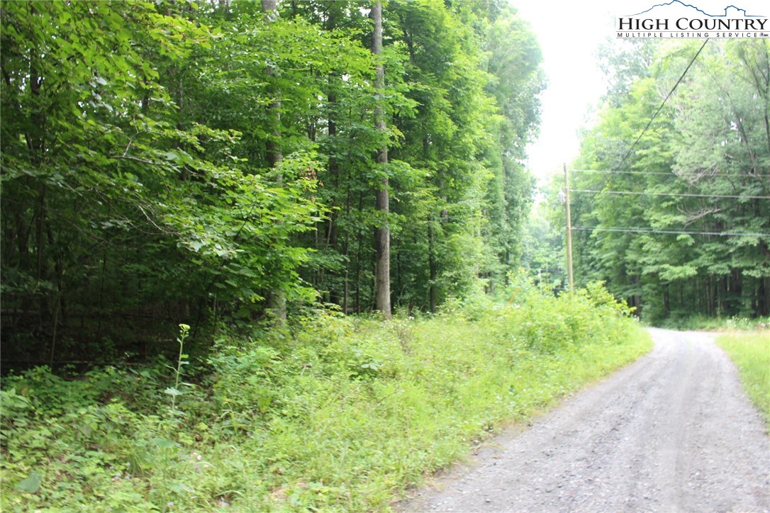 Jc Norton Rd Road Warrensville, NC 28693 - Photo 6 of 10 Gallery Image 6