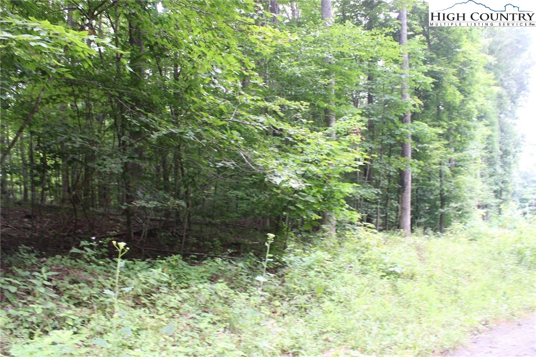 Jc Norton Rd Road Warrensville, NC 28693 - Photo 7 of 10 Gallery Image 7
