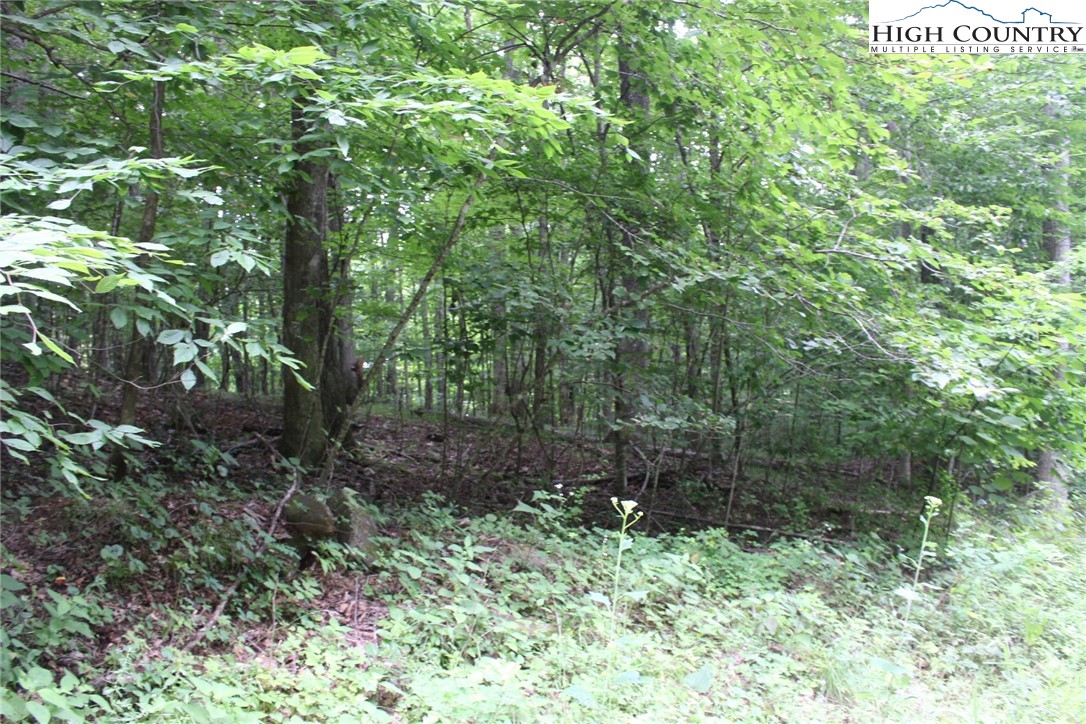 Jc Norton Rd Road Warrensville, NC 28693 - Photo 8 of 10 Gallery Image 8