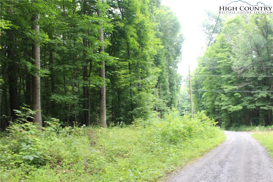 Jc Norton Rd Road Warrensville, NC 28693 - Photo 9 of 10 Gallery Image 9