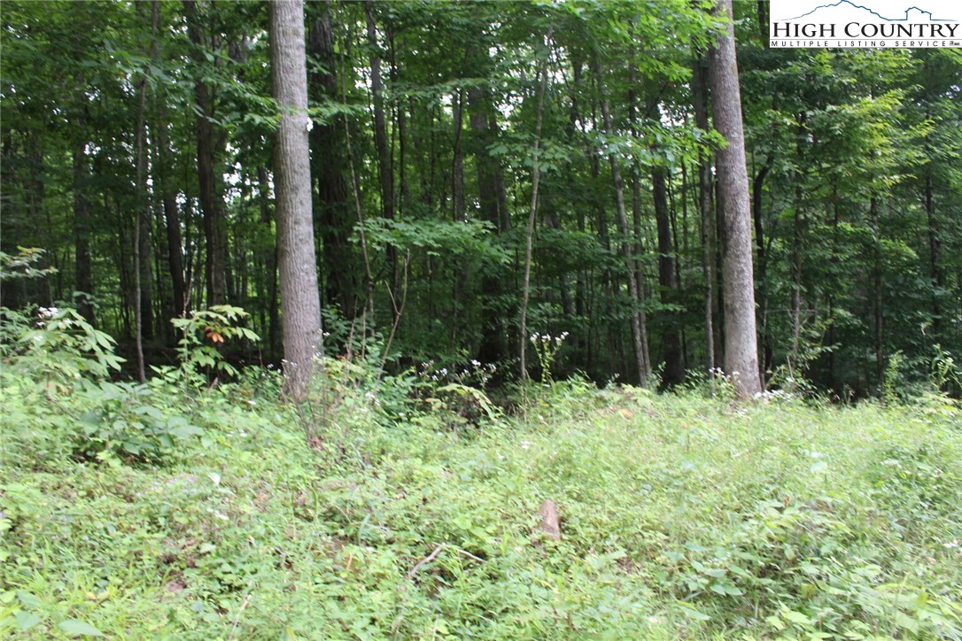 Jc Norton Rd Road Warrensville, NC 28693 - Photo 10 of 10 Gallery Image 10