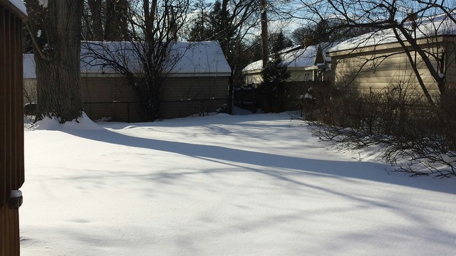 1720 Greendale Avenue Park Ridge, IL 60068 - Photo 12 of 14