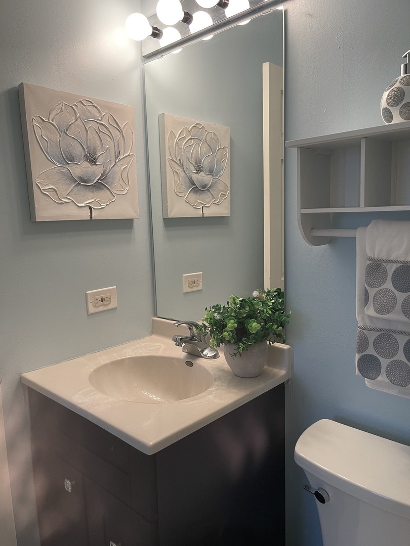 245 Memory Lane, Unit 3 Westmont, IL 60559 - Photo 17 of 28 a bathroom with a sink vanity and toilet