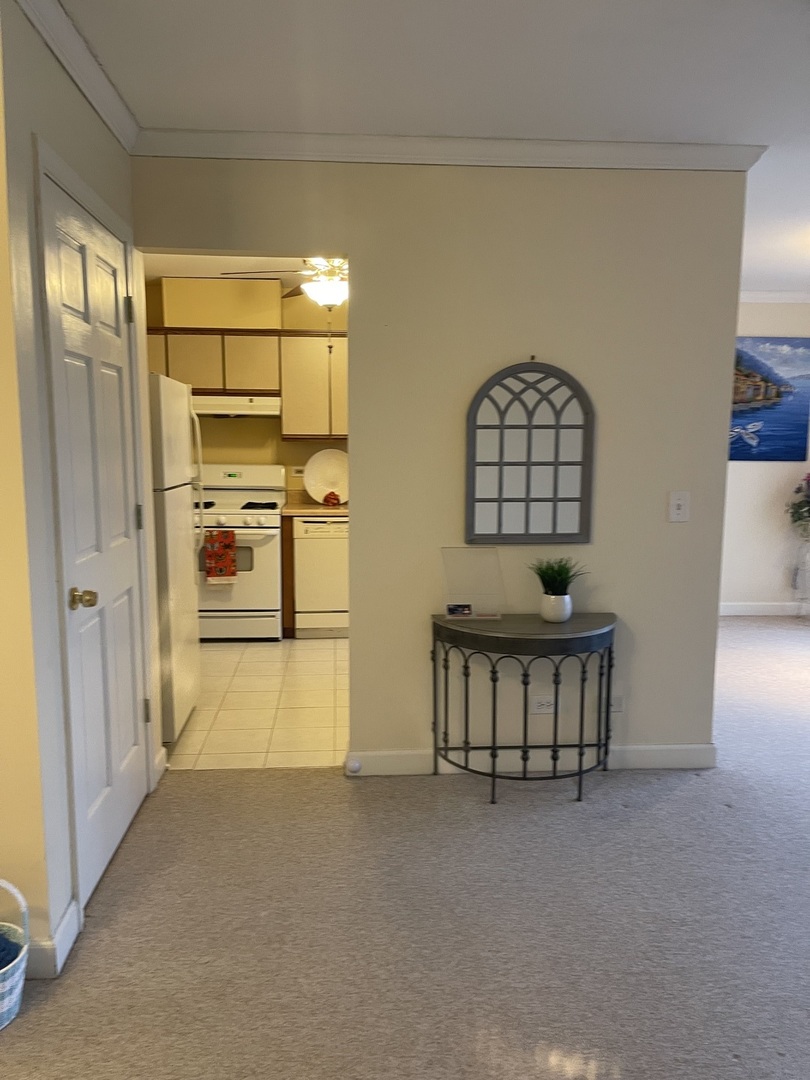 245 Memory Lane, Unit 3 Westmont, IL 60559 - Photo 4 of 28