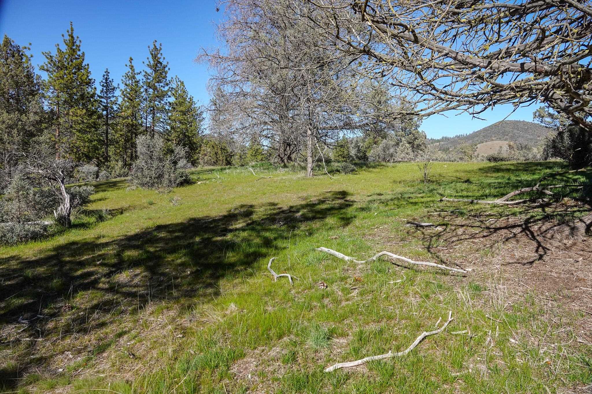 0 Scarface Road Fort Jones, CA 96032 - Photo 9 of 35 Gallery Image 9